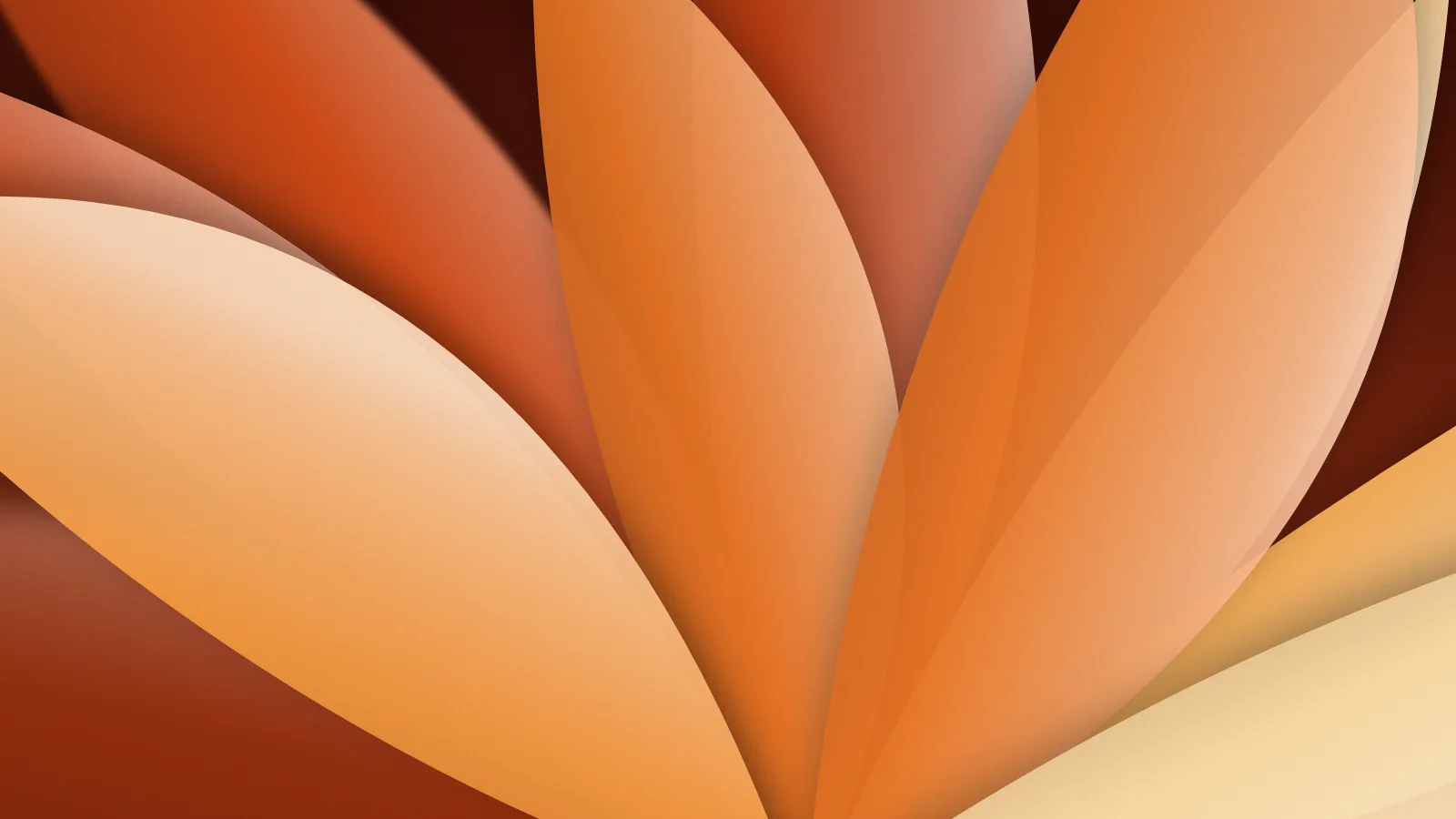 Fundo para YouTube (banner do canal): desfoque, pétalas, na paleta laranja, 2560 × 1440