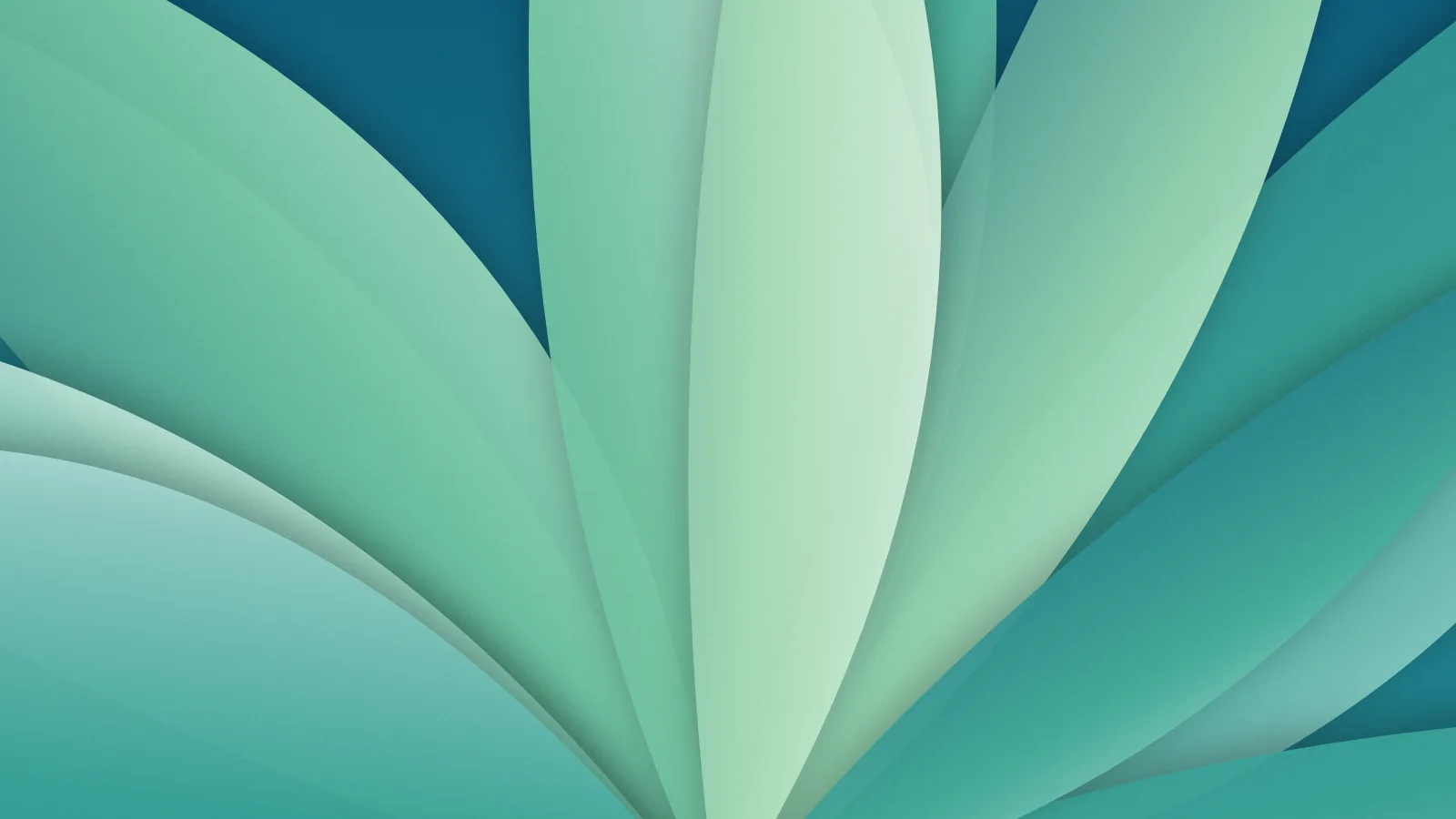 Fundo para Reuniões (zoom, meet e teams): desfoque, pétalas, na paleta lagoa, 1920 × 1080