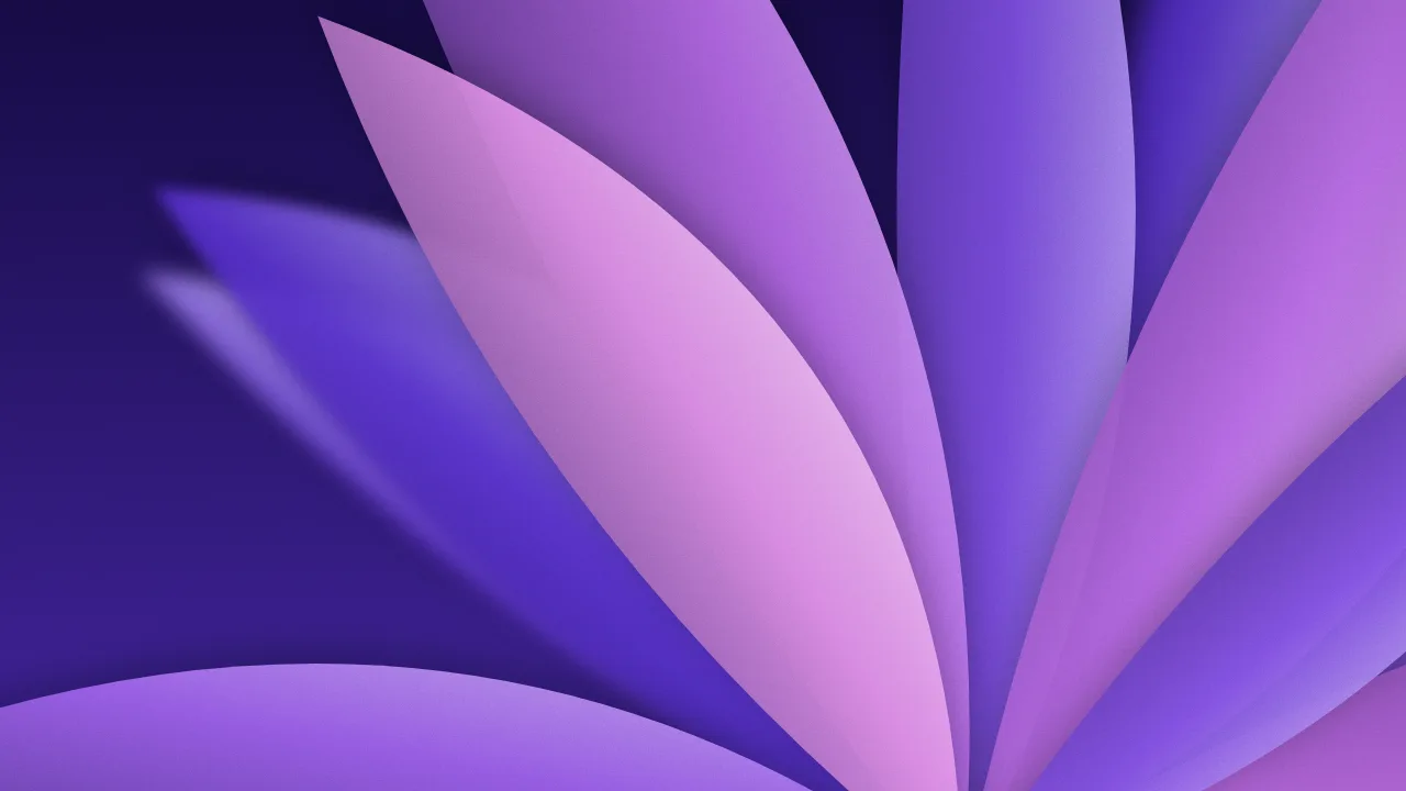 Fundo para YouTube (miniatura do vídeo): desfoque, pétalas, na paleta violeta, 1280 × 720