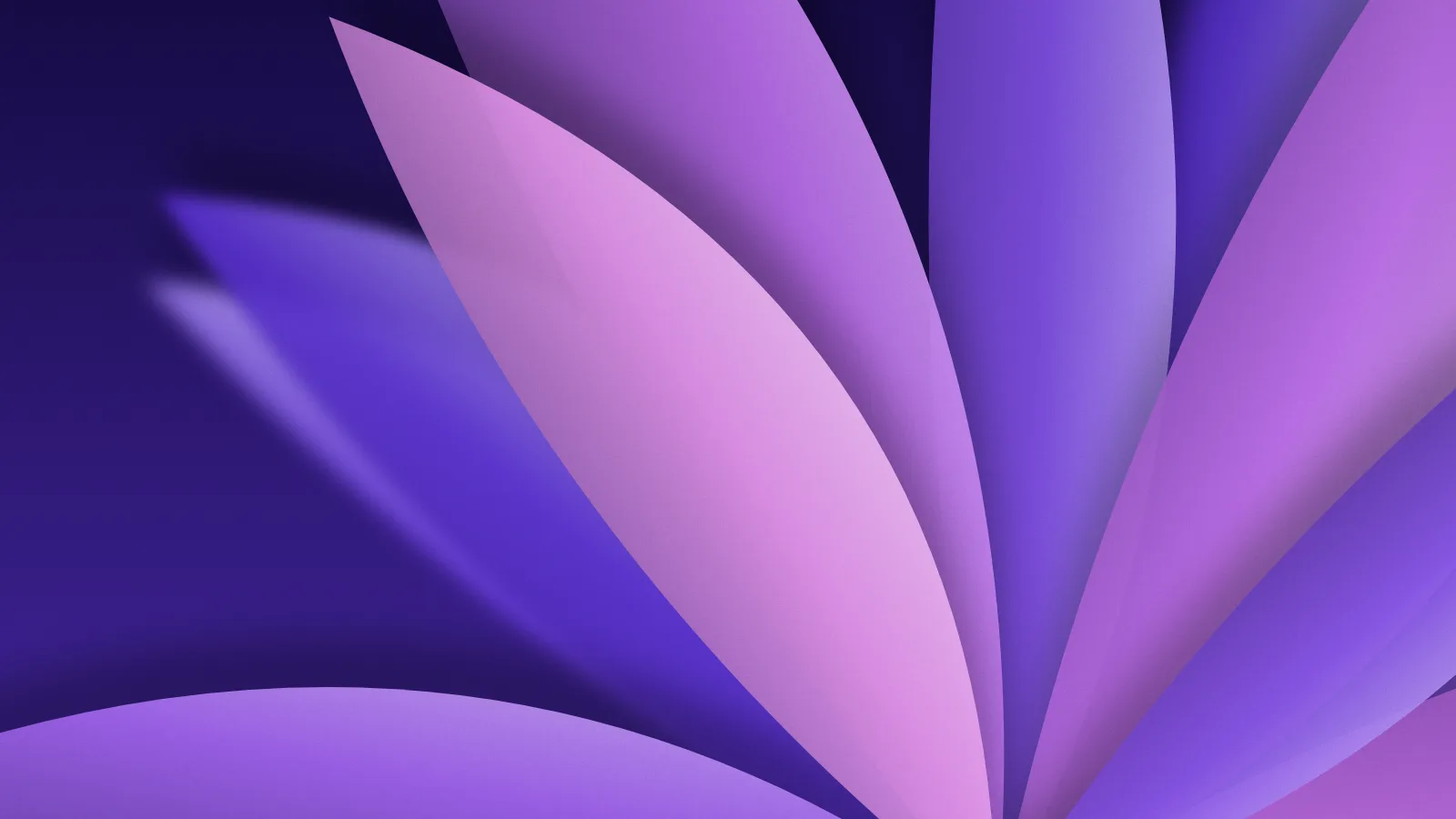 Papel de parede: desfoque, pétalas, na paleta violeta, 7680 × 4320