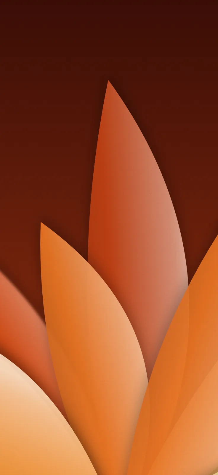 Papel de parede: desfoque, pétalas, na paleta laranja, 1206 × 2622