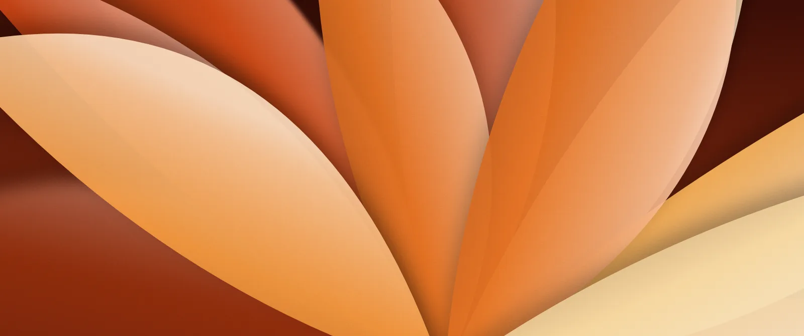 Papel de parede: desfoque, pétalas, na paleta laranja, 3440 × 1440