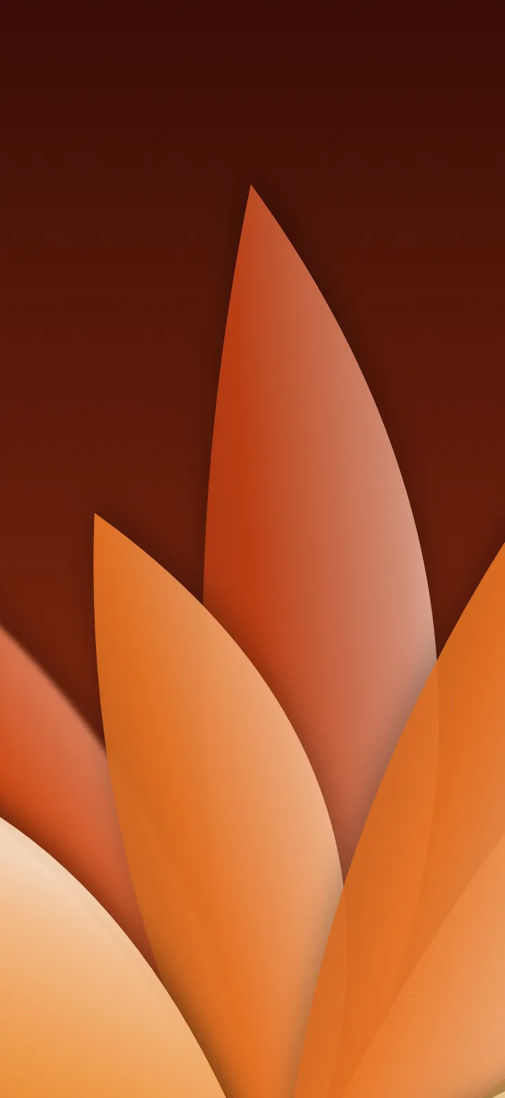 Papel de parede: desfoque, pétalas, na paleta laranja, 1320 × 2868