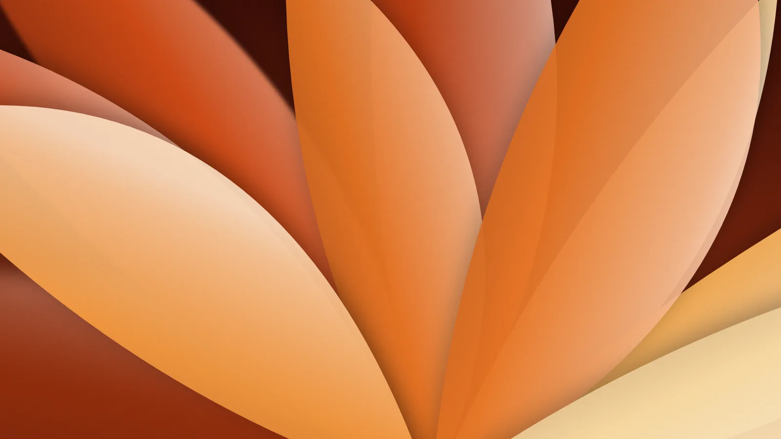 Papel de parede: desfoque, pétalas, na paleta laranja, 1920 × 1080